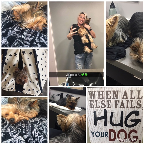 We R Posh Ambassadors ⭐️🐾🛍🥰🙌🏽💚 - Picture 3 of 5